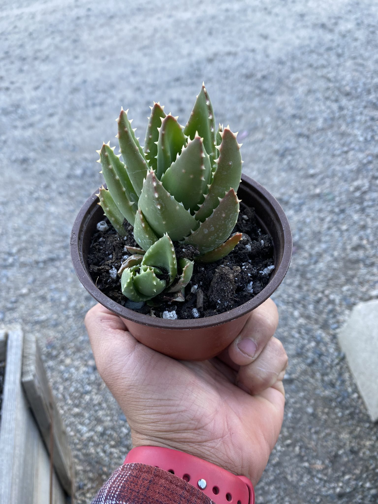 8D5F6EE1-F864-4DCC-8921-5B87B3ABEB18