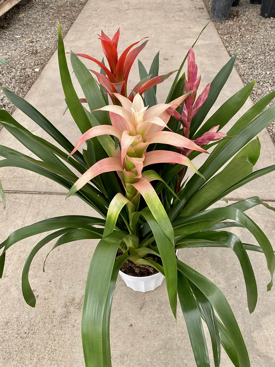 80643962-842E-4983-BE1E-49122E105BA9