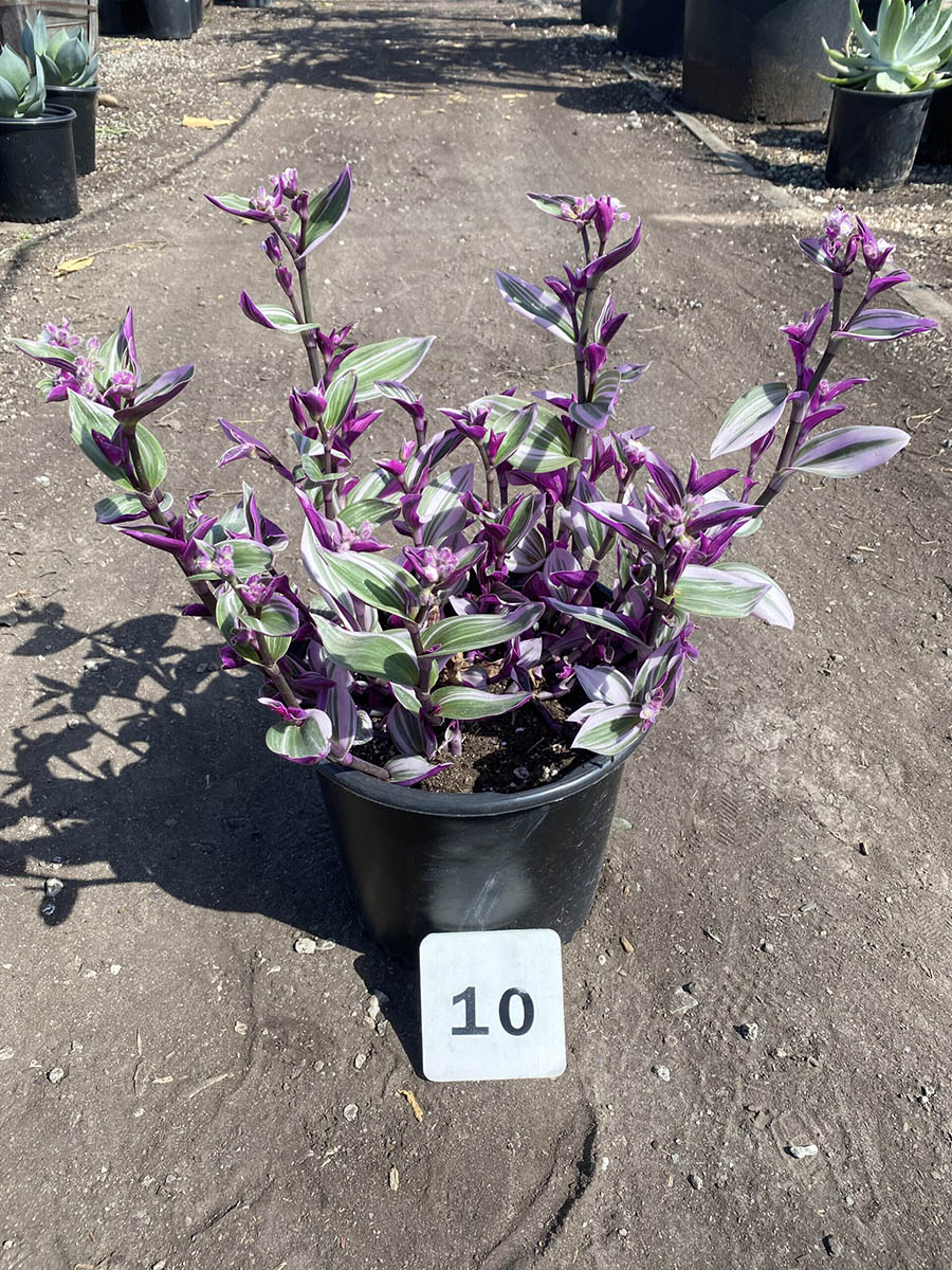 65761F02-8C1A-4659-A8CC-BA6F6F246ED7