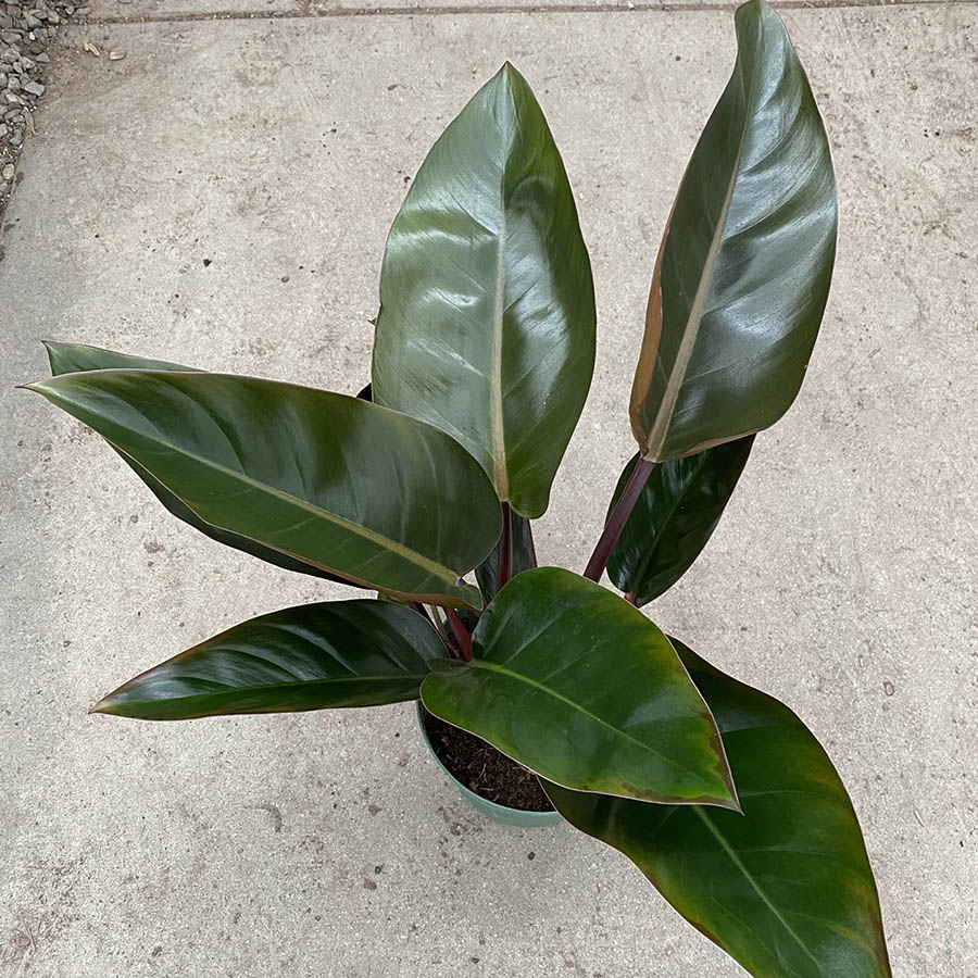 82F43C3B-5F45-4DCD-A6AE-69410745D720