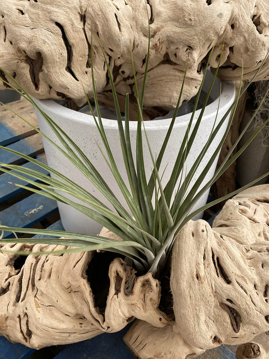 A0FCE5DE-C5A4-4D6A-9CD2-9A61652934D6