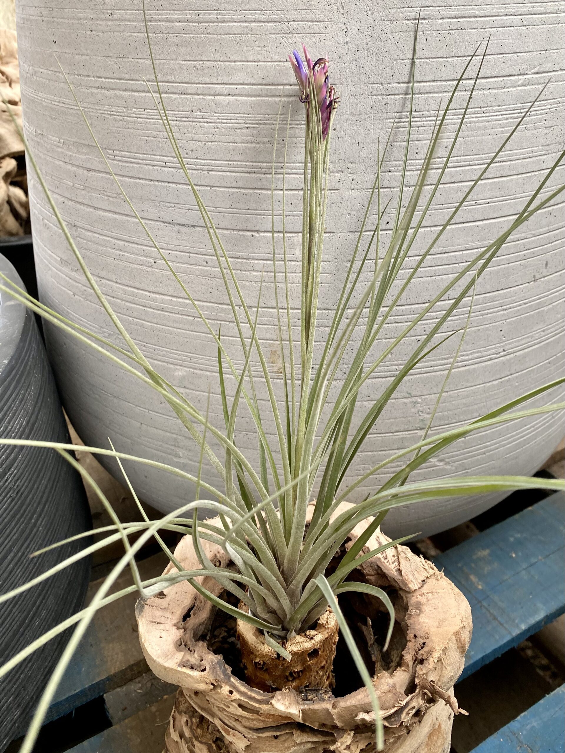 AB49F050-5772-4FAD-A687-C04DFDA36212