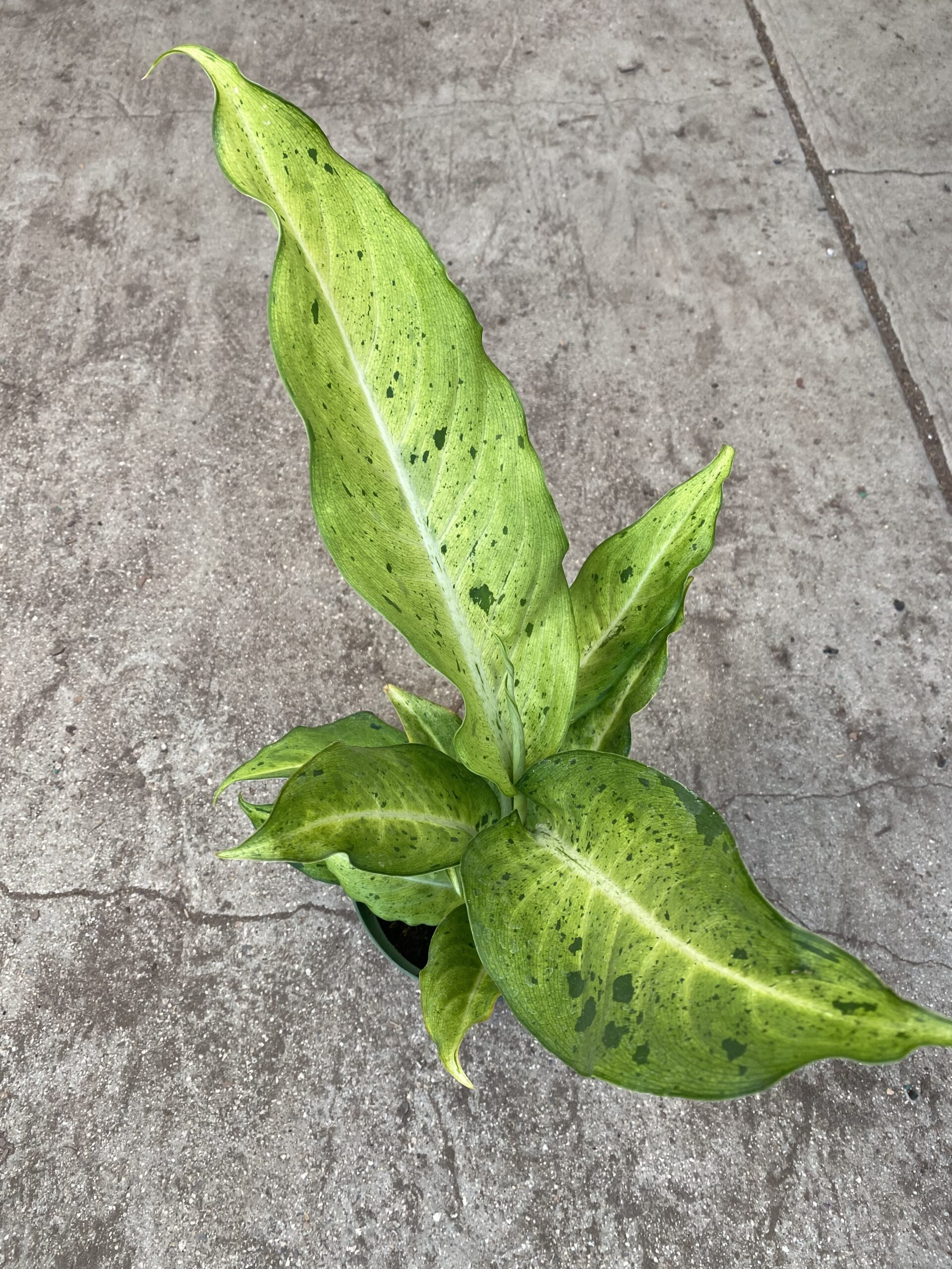 744A570C-626E-47DD-A166-06EE33C12C6E