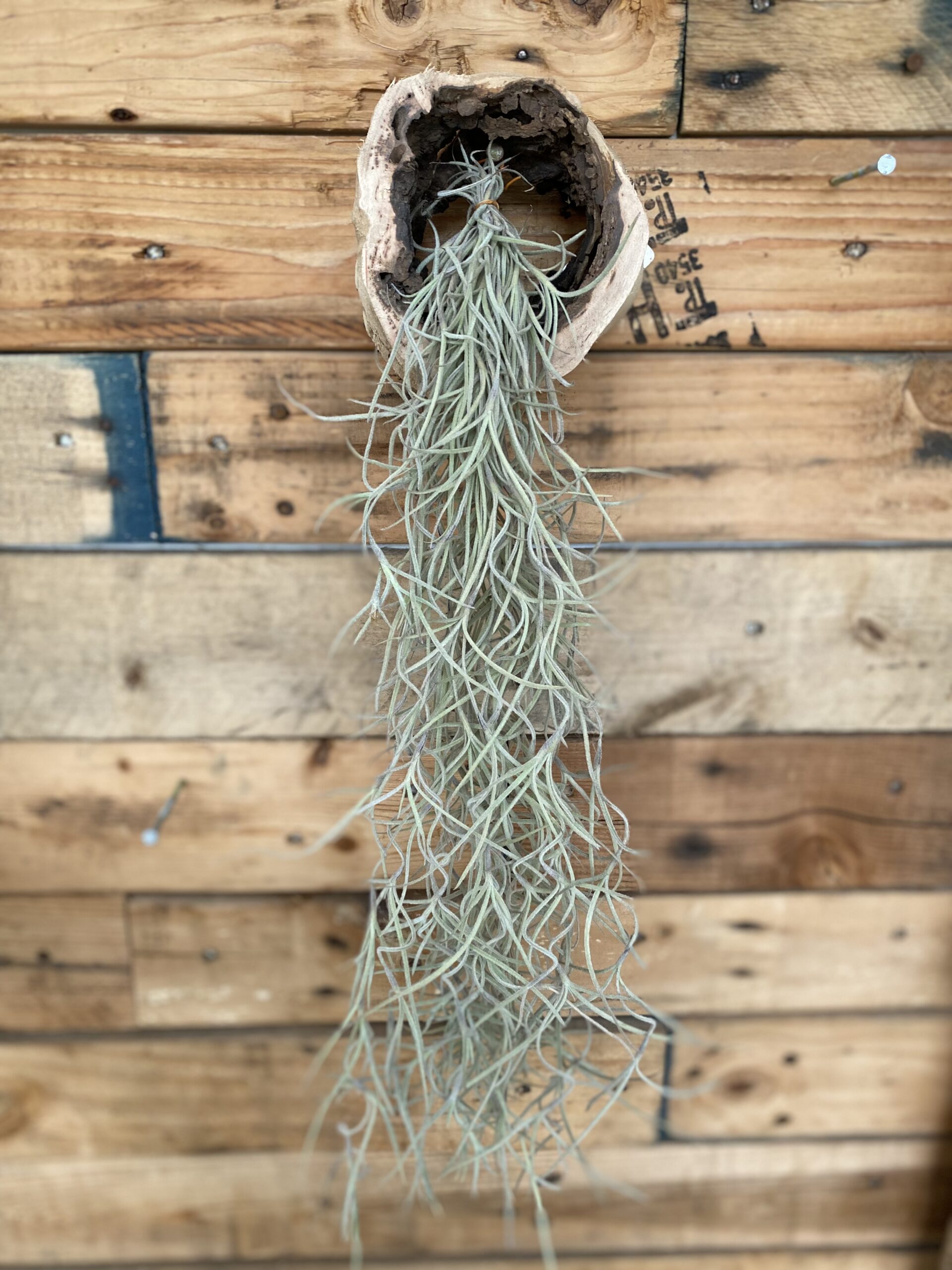 9FC88B53-C703-4FB1-BEDD-DD40B0E0FFF2