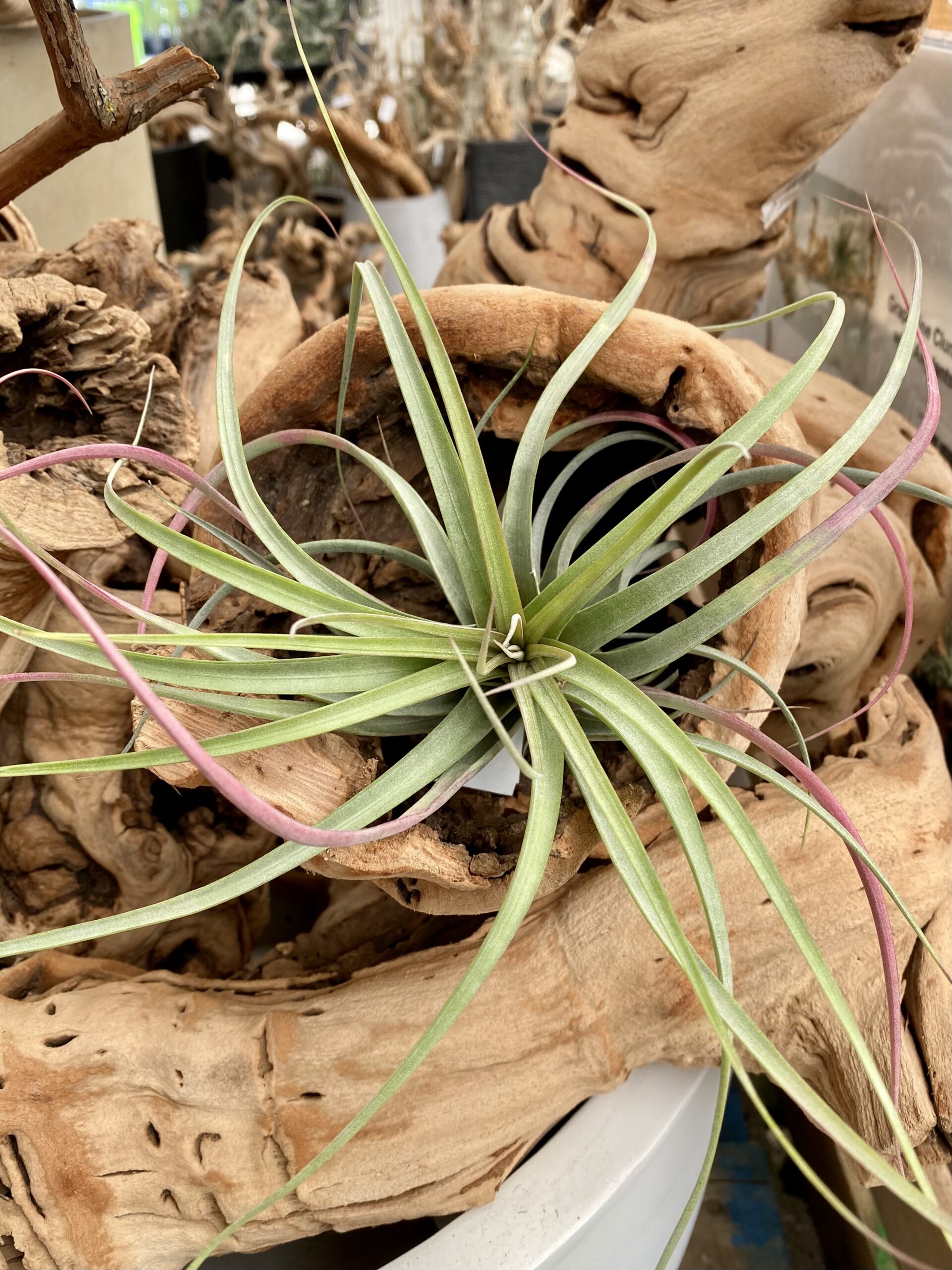 118CFE81-C9A0-4BC2-BA93-C3955FD85692