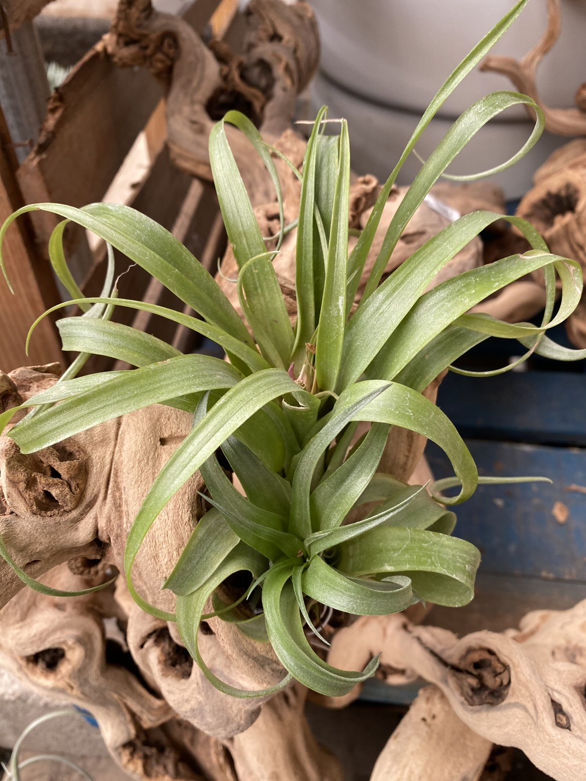 722EDFF0-FBCE-451C-8515-176BF254B21F