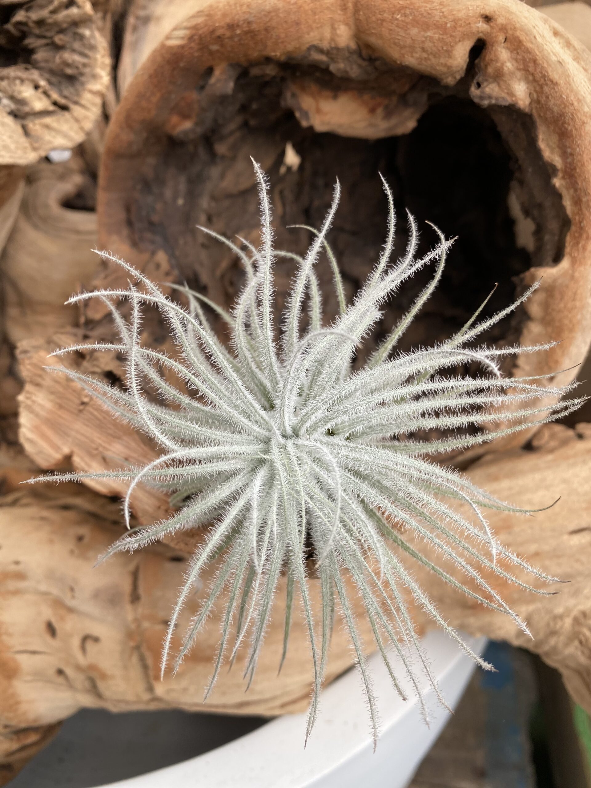 A080AC4A-53FB-412B-BACC-226EF7C74757