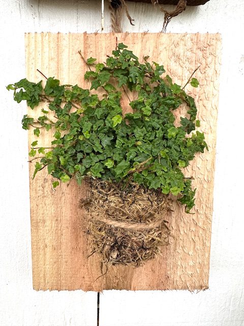 37716_String of Frogs, Plaque, 7×5.5_IMG_4928